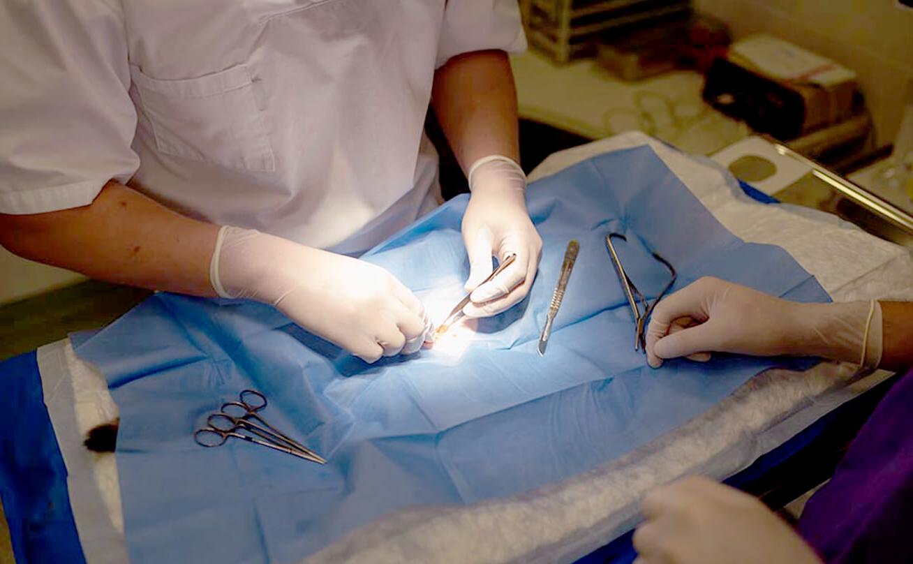 Gloved hands working on surgical patient