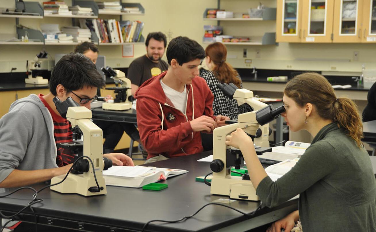 Three students looking through microscopes in class