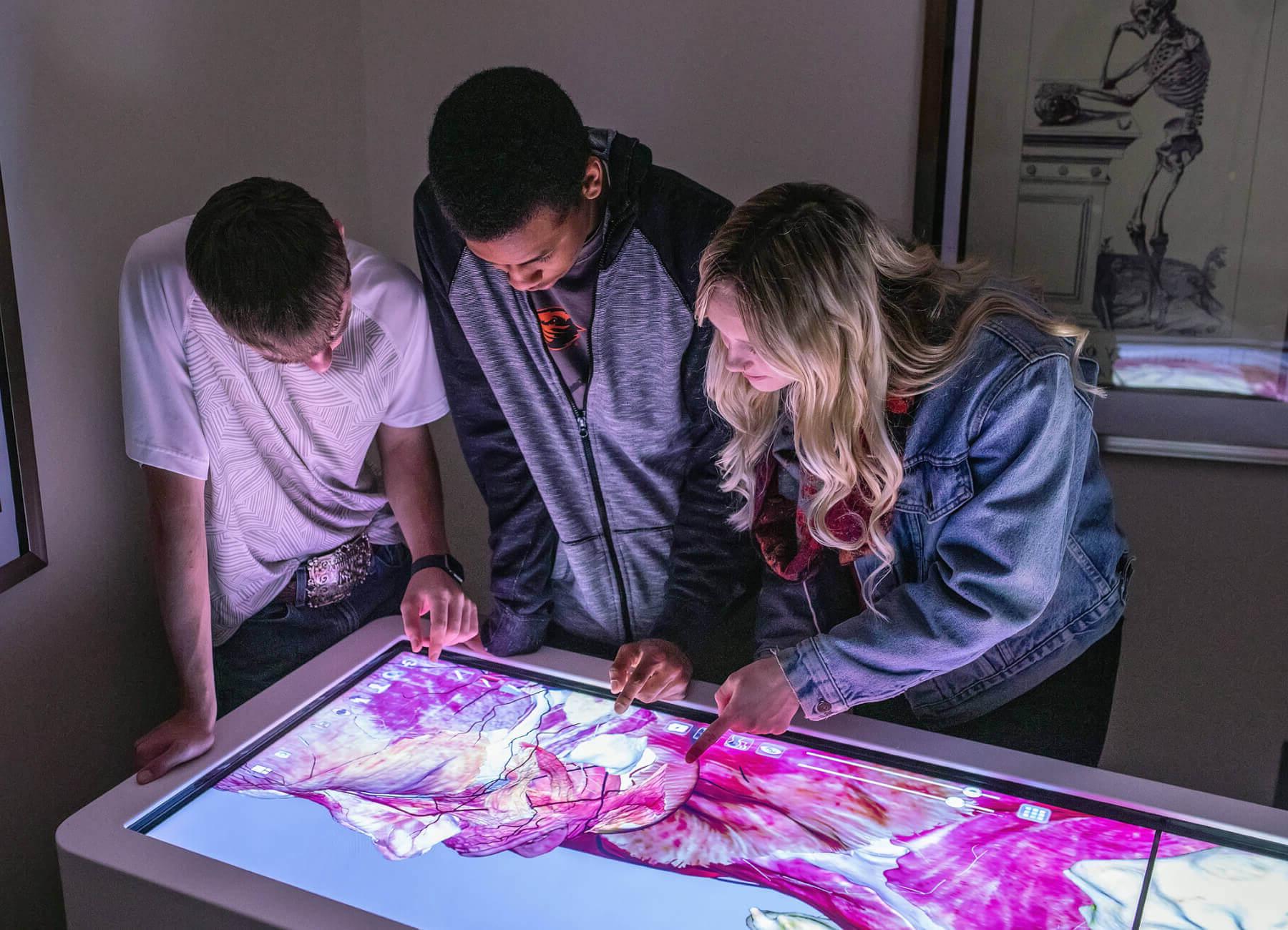 students with virtual cadaver machine